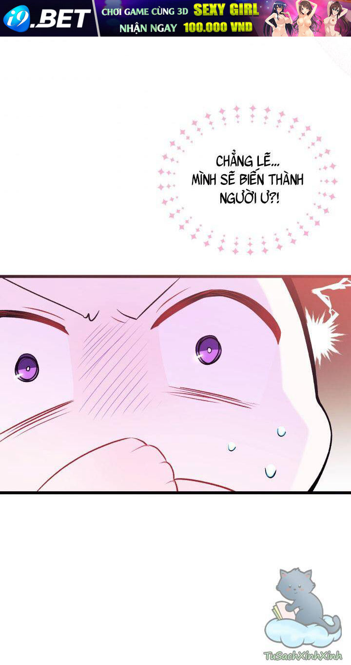Mối Quan Hệ Cộng Sinh Giữa Báo Đen Và Thỏ Trắng - Chap 35 - Trang 14