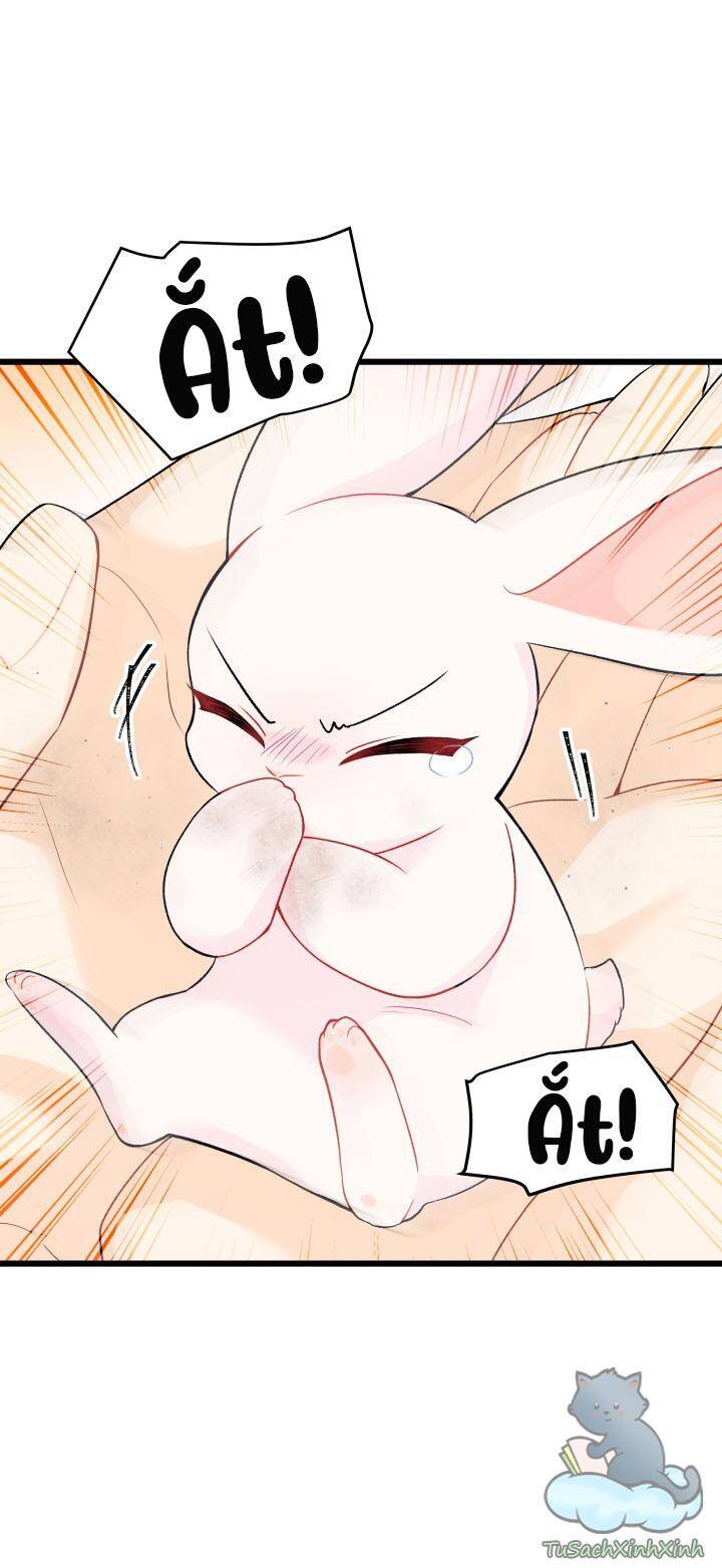 Mối Quan Hệ Cộng Sinh Giữa Báo Đen Và Thỏ Trắng - Chap 35 - Trang 3