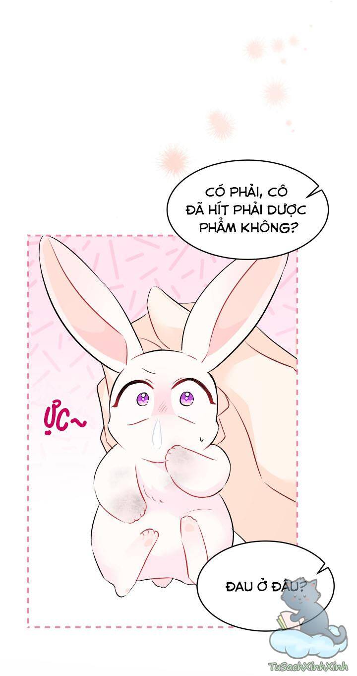 Mối Quan Hệ Cộng Sinh Giữa Báo Đen Và Thỏ Trắng - Chap 35 - Trang 9
