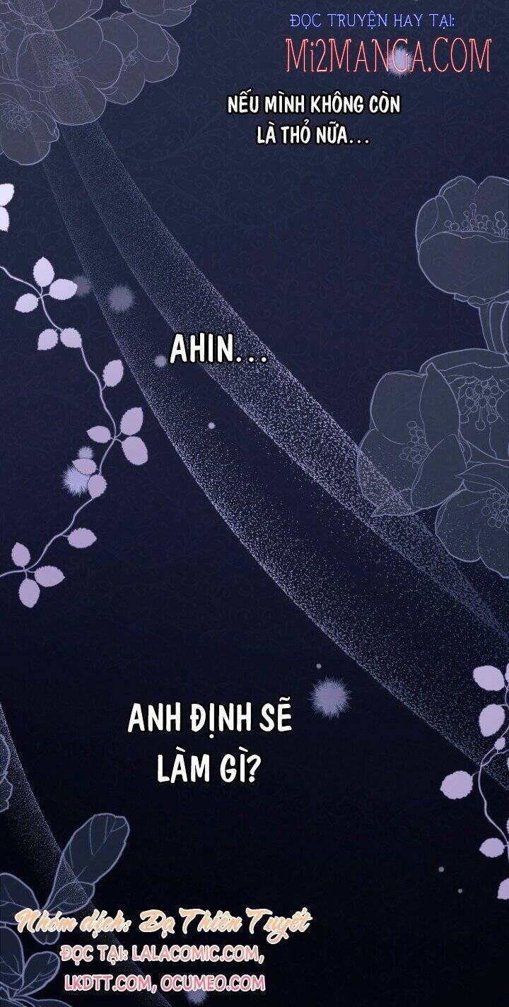 Mối Quan Hệ Cộng Sinh Giữa Báo Đen Và Thỏ Trắng - Chap 37 - Trang 10