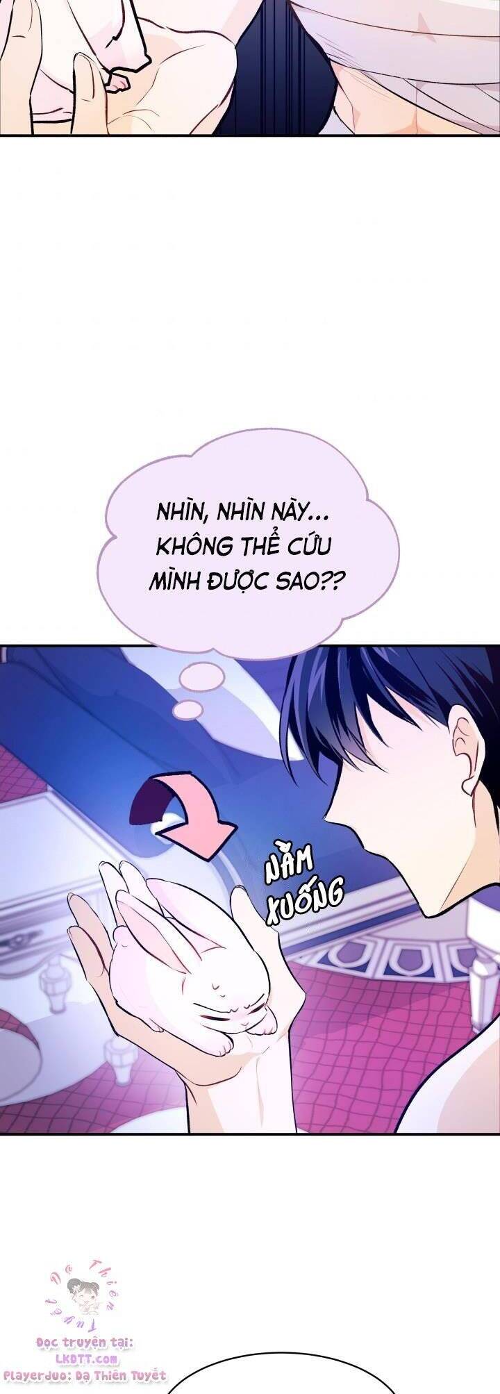 Mối Quan Hệ Cộng Sinh Giữa Báo Đen Và Thỏ Trắng - Chap 4 - Trang 26