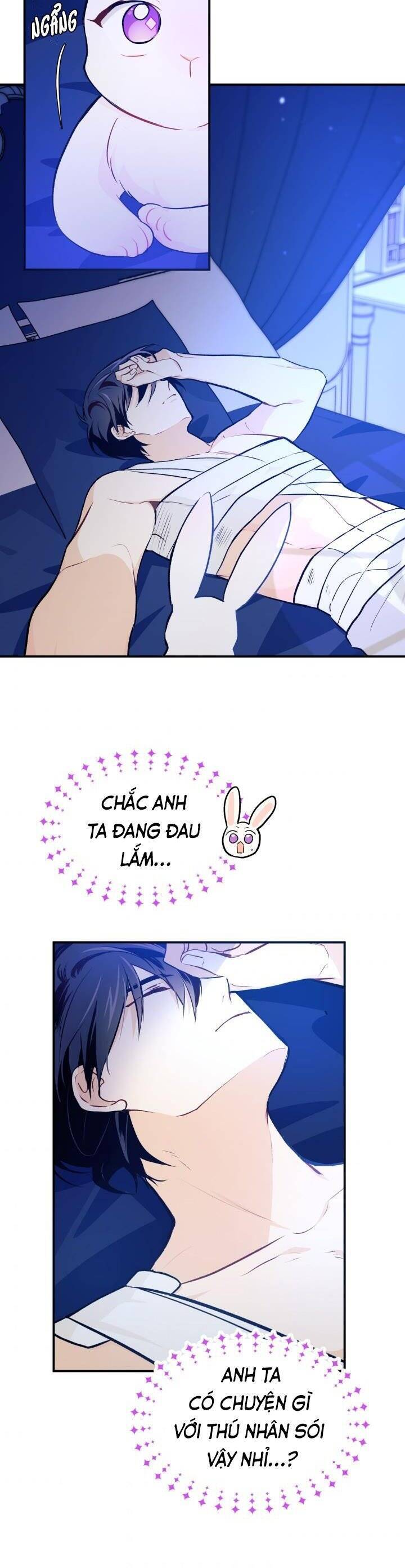 Mối Quan Hệ Cộng Sinh Giữa Báo Đen Và Thỏ Trắng - Chap 4 - Trang 31