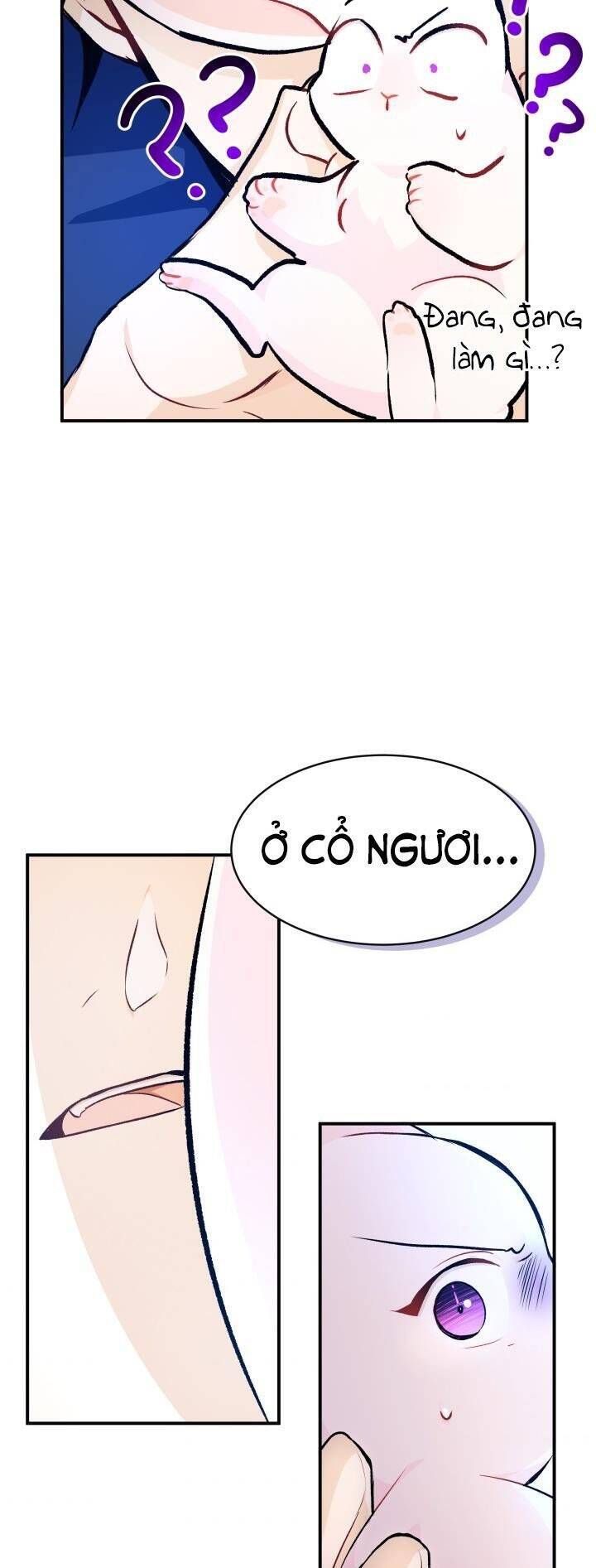 Mối Quan Hệ Cộng Sinh Giữa Báo Đen Và Thỏ Trắng - Chap 4 - Trang 35