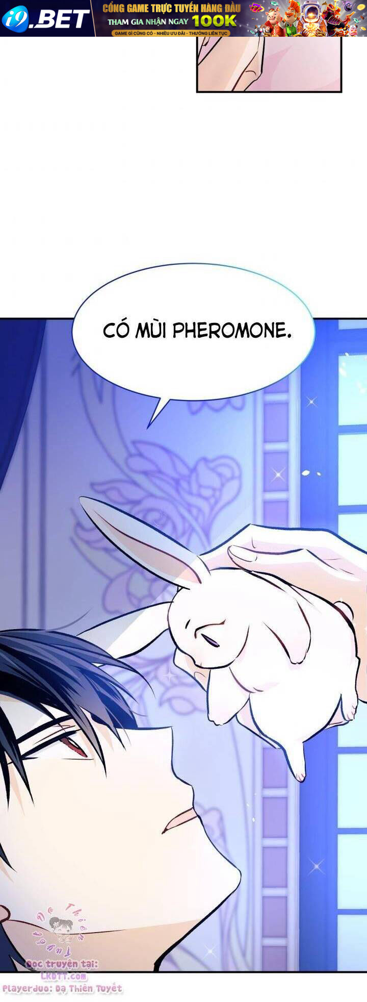 Mối Quan Hệ Cộng Sinh Giữa Báo Đen Và Thỏ Trắng - Chap 4 - Trang 36