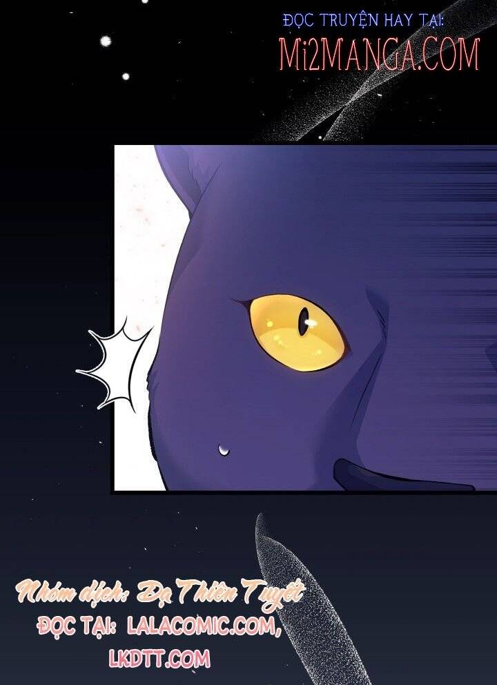 Mối Quan Hệ Cộng Sinh Giữa Báo Đen Và Thỏ Trắng - Chap 40 - Trang 38