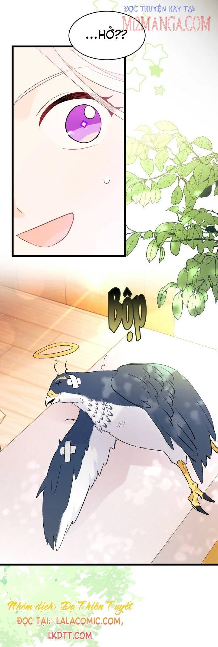 Mối Quan Hệ Cộng Sinh Giữa Báo Đen Và Thỏ Trắng - Chap 41 - Trang 15