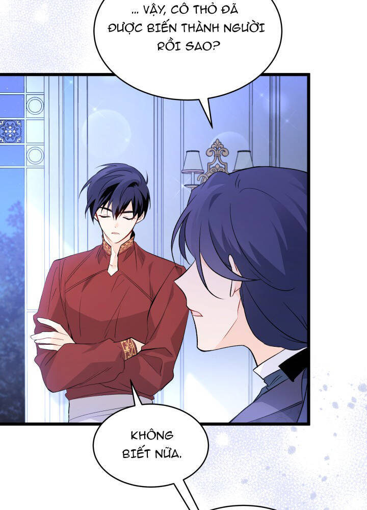 Mối Quan Hệ Cộng Sinh Giữa Báo Đen Và Thỏ Trắng - Chap 46 - Trang 29