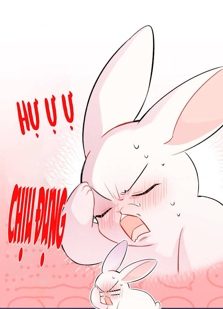 Mối Quan Hệ Cộng Sinh Giữa Báo Đen Và Thỏ Trắng - Chap 46 - Trang 64