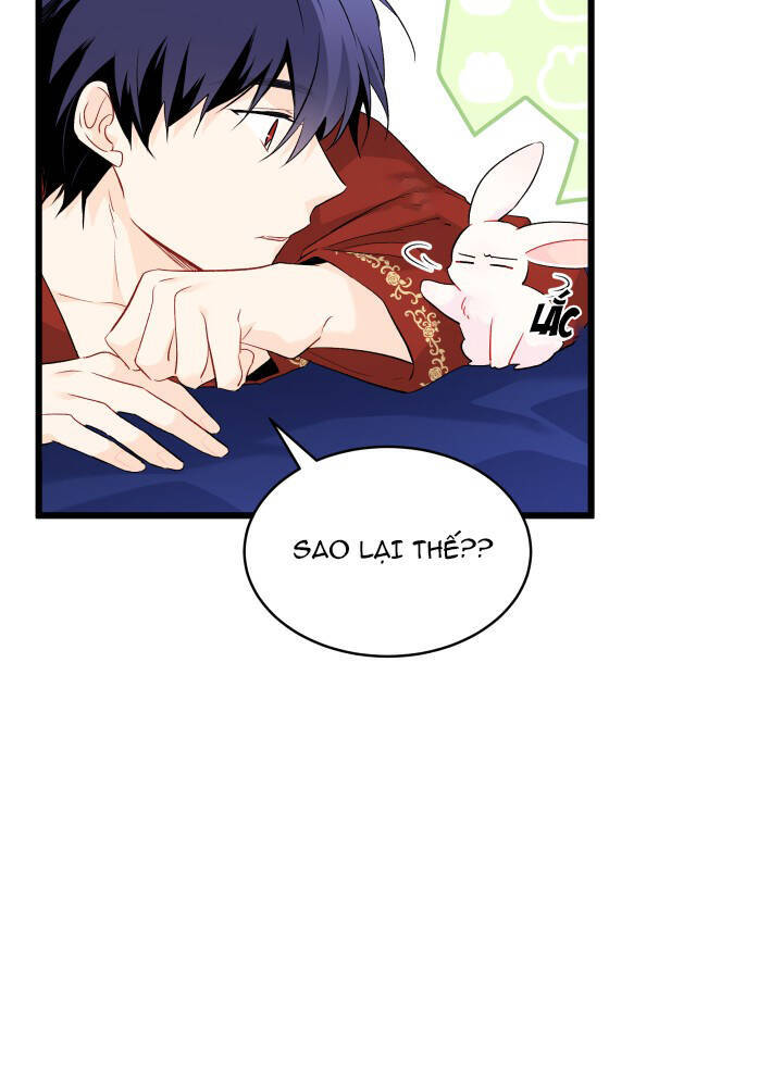 Mối Quan Hệ Cộng Sinh Giữa Báo Đen Và Thỏ Trắng - Chap 46 - Trang 89