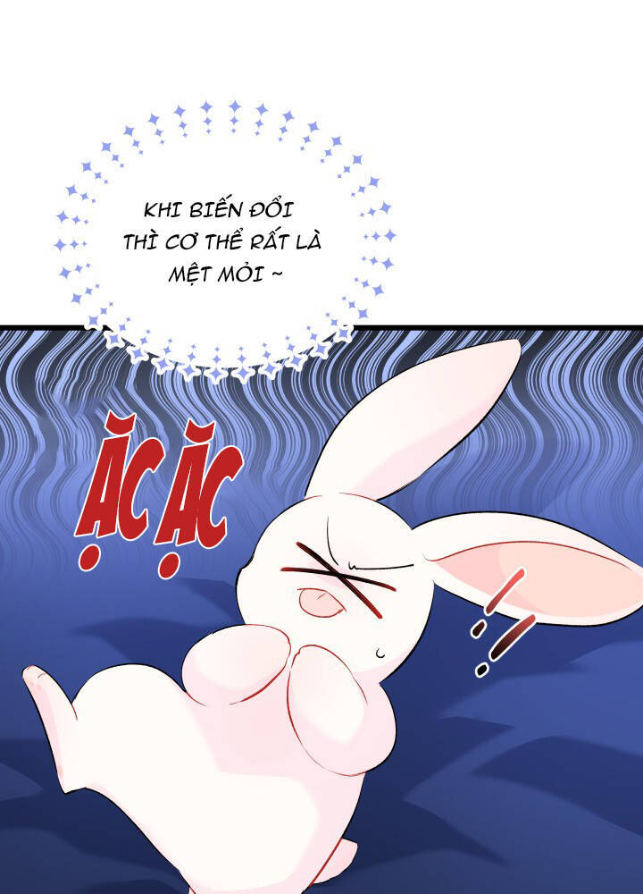 Mối Quan Hệ Cộng Sinh Giữa Báo Đen Và Thỏ Trắng - Chap 46 - Trang 90