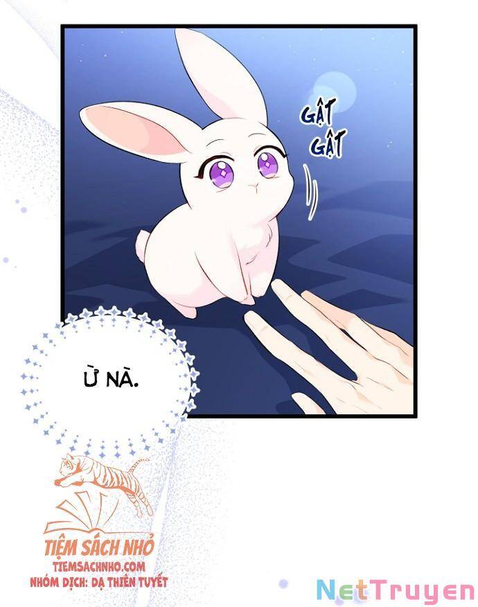 Mối Quan Hệ Cộng Sinh Giữa Báo Đen Và Thỏ Trắng - Chap 47 - Trang 11