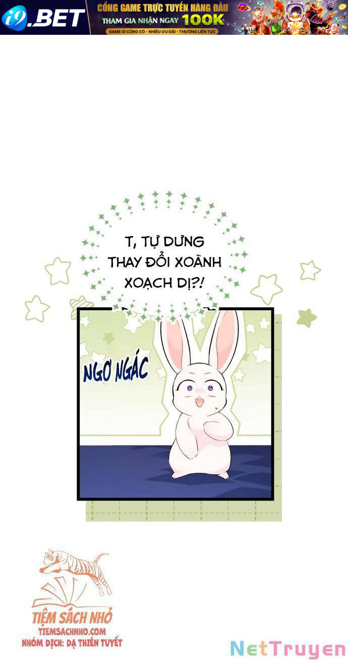 Mối Quan Hệ Cộng Sinh Giữa Báo Đen Và Thỏ Trắng - Chap 47 - Trang 14