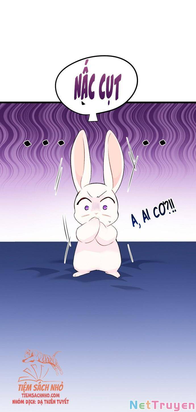 Mối Quan Hệ Cộng Sinh Giữa Báo Đen Và Thỏ Trắng - Chap 47 - Trang 16