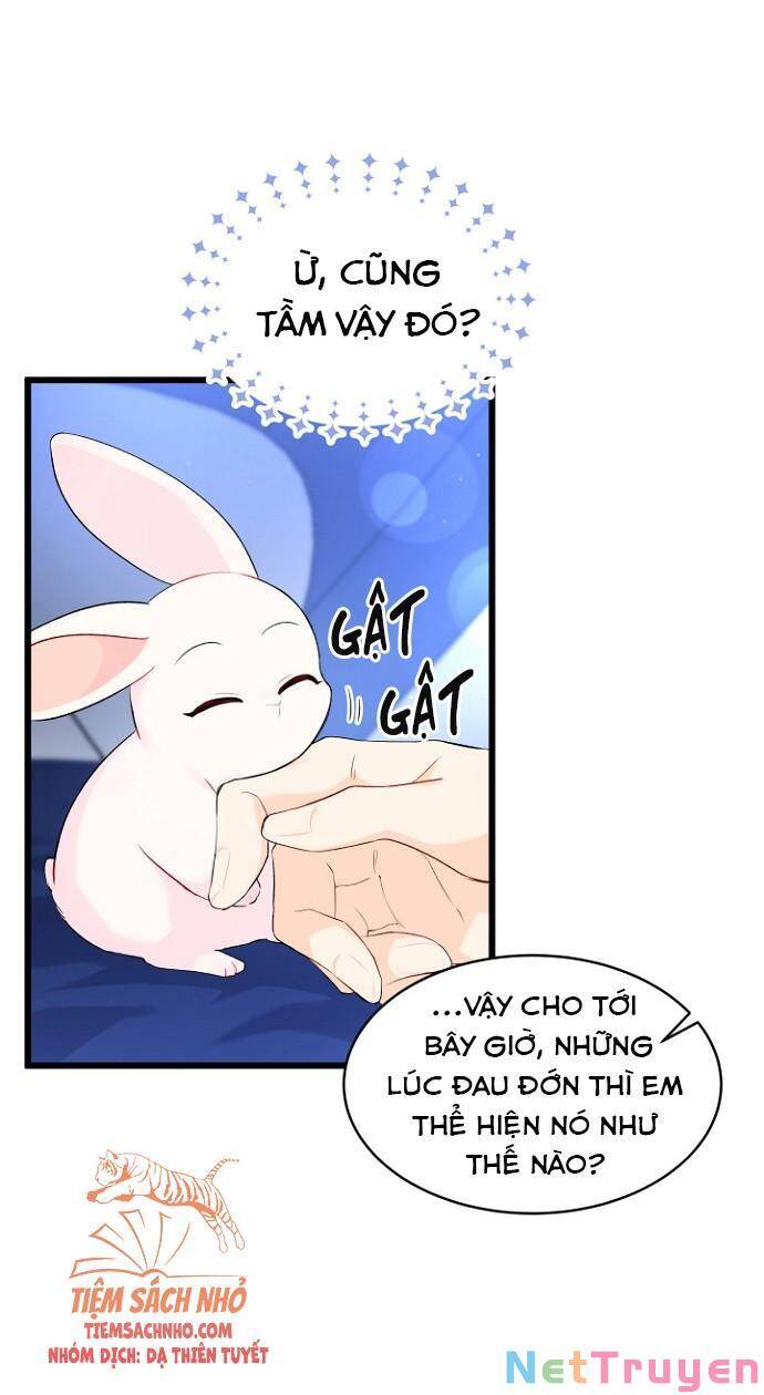 Mối Quan Hệ Cộng Sinh Giữa Báo Đen Và Thỏ Trắng - Chap 47 - Trang 7