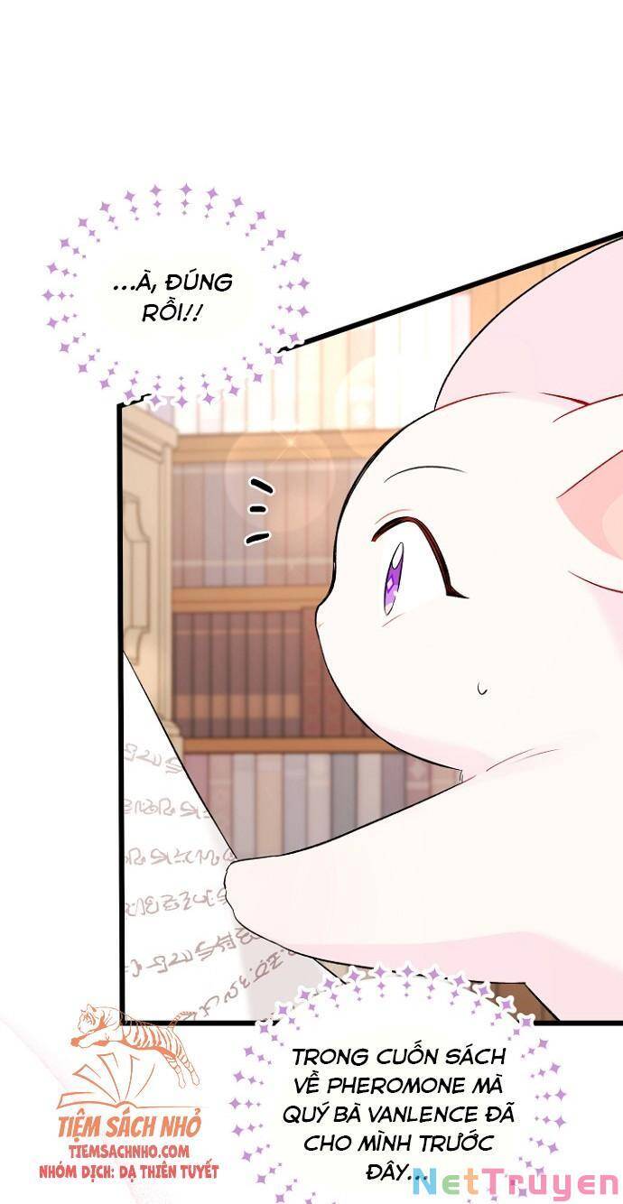 Mối Quan Hệ Cộng Sinh Giữa Báo Đen Và Thỏ Trắng - Chap 47 - Trang 66