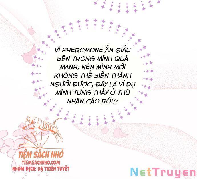 Mối Quan Hệ Cộng Sinh Giữa Báo Đen Và Thỏ Trắng - Chap 47 - Trang 67