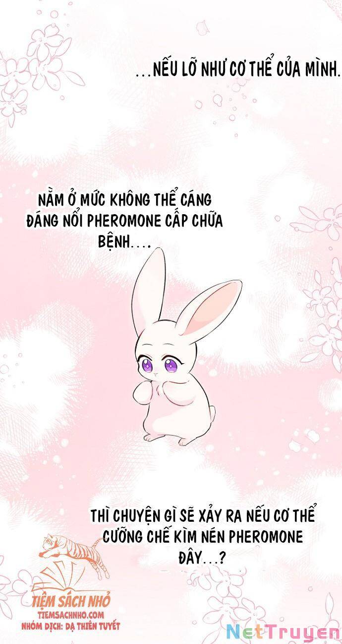 Mối Quan Hệ Cộng Sinh Giữa Báo Đen Và Thỏ Trắng - Chap 47 - Trang 68