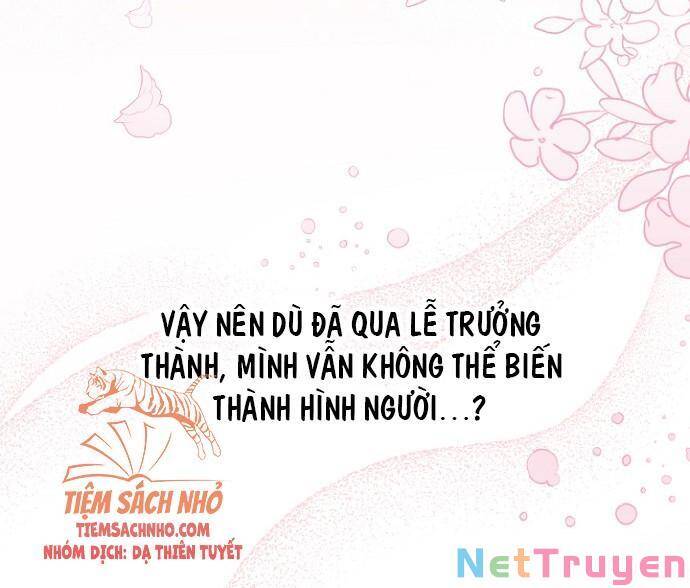 Mối Quan Hệ Cộng Sinh Giữa Báo Đen Và Thỏ Trắng - Chap 47 - Trang 69