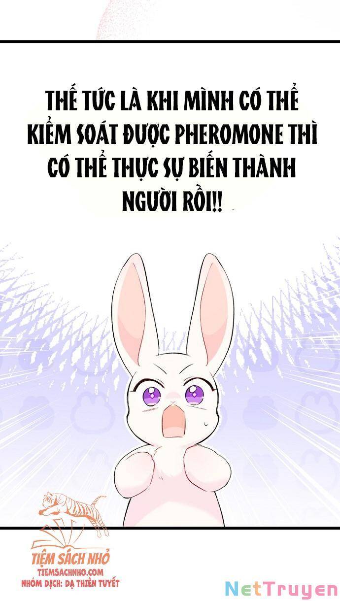 Mối Quan Hệ Cộng Sinh Giữa Báo Đen Và Thỏ Trắng - Chap 47 - Trang 70