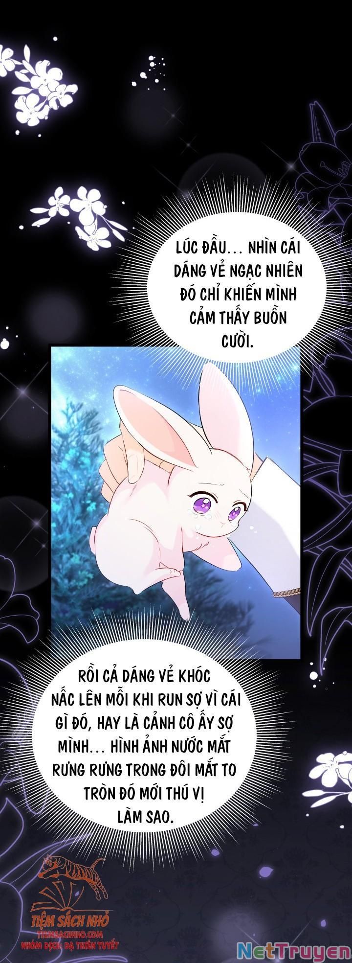 Mối Quan Hệ Cộng Sinh Giữa Báo Đen Và Thỏ Trắng - Chap 48 - Trang 12