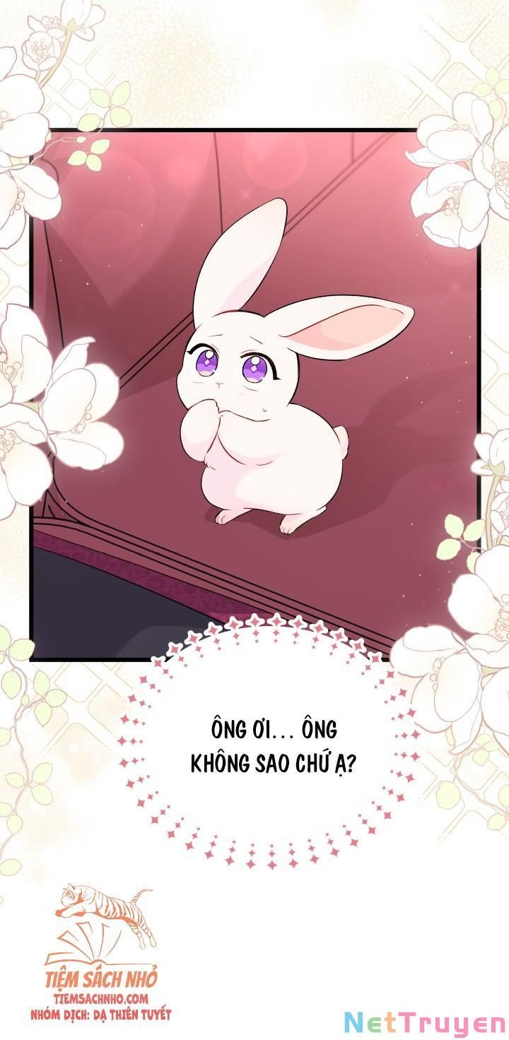 Mối Quan Hệ Cộng Sinh Giữa Báo Đen Và Thỏ Trắng - Chap 48 - Trang 41