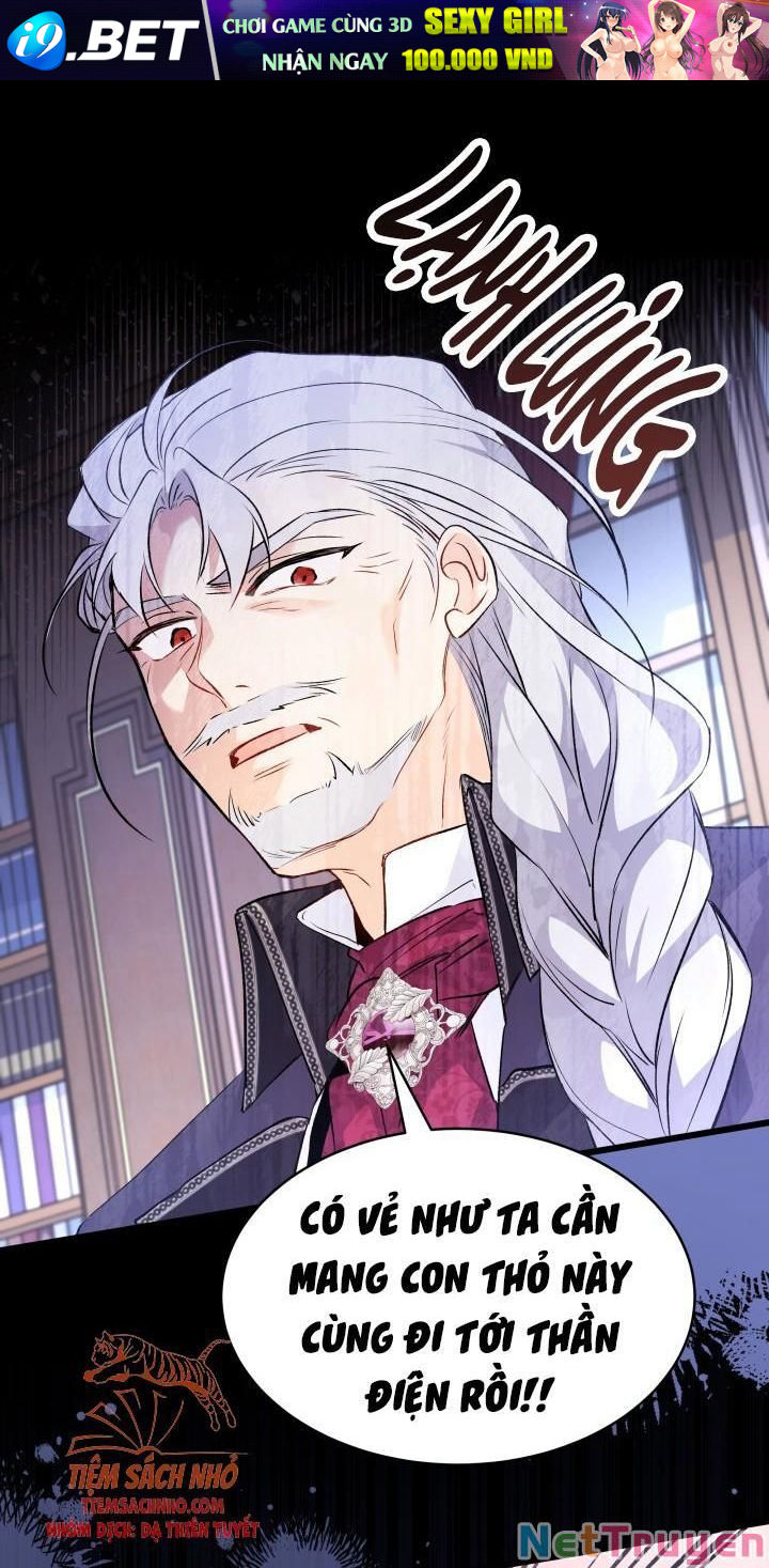 Mối Quan Hệ Cộng Sinh Giữa Báo Đen Và Thỏ Trắng - Chap 48 - Trang 50