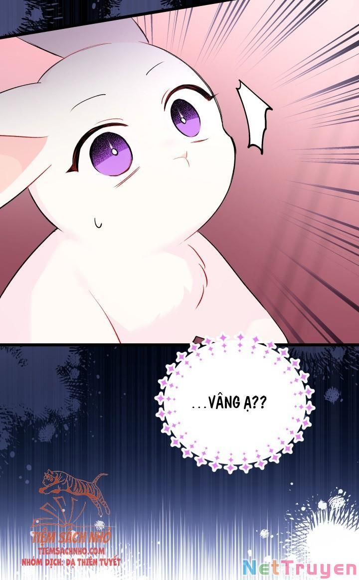 Mối Quan Hệ Cộng Sinh Giữa Báo Đen Và Thỏ Trắng - Chap 48 - Trang 51