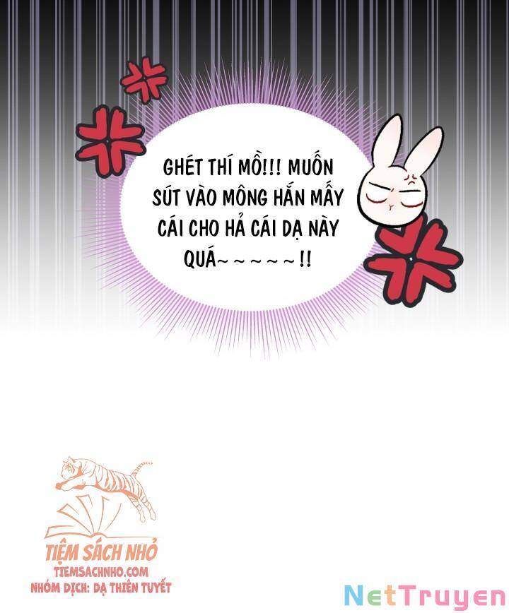 Mối Quan Hệ Cộng Sinh Giữa Báo Đen Và Thỏ Trắng - Chap 49 - Trang 13