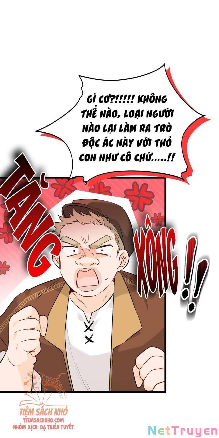 Mối Quan Hệ Cộng Sinh Giữa Báo Đen Và Thỏ Trắng - Chap 49 - Trang 31