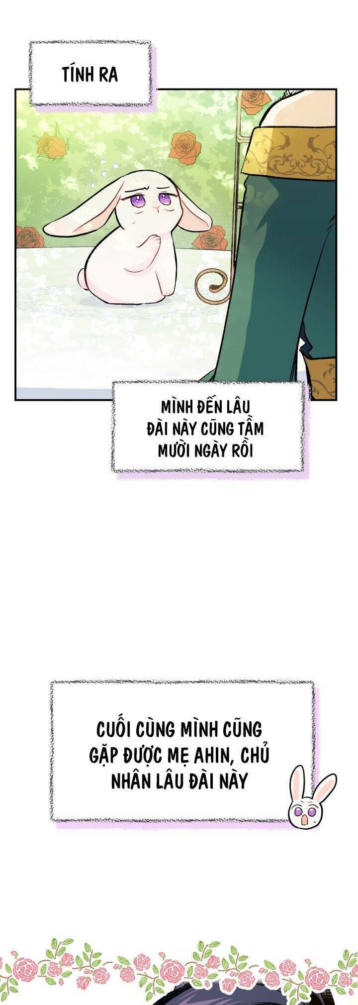Mối Quan Hệ Cộng Sinh Giữa Báo Đen Và Thỏ Trắng - Chap 5 - Trang 12