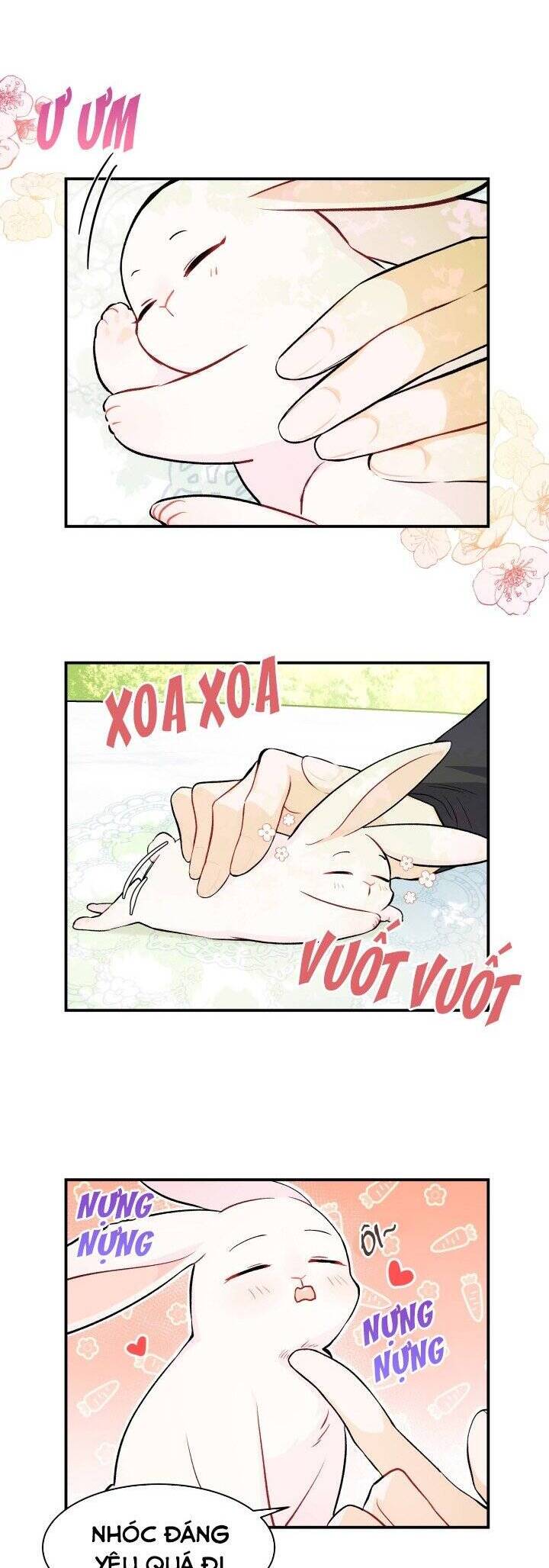 Mối Quan Hệ Cộng Sinh Giữa Báo Đen Và Thỏ Trắng - Chap 5 - Trang 16