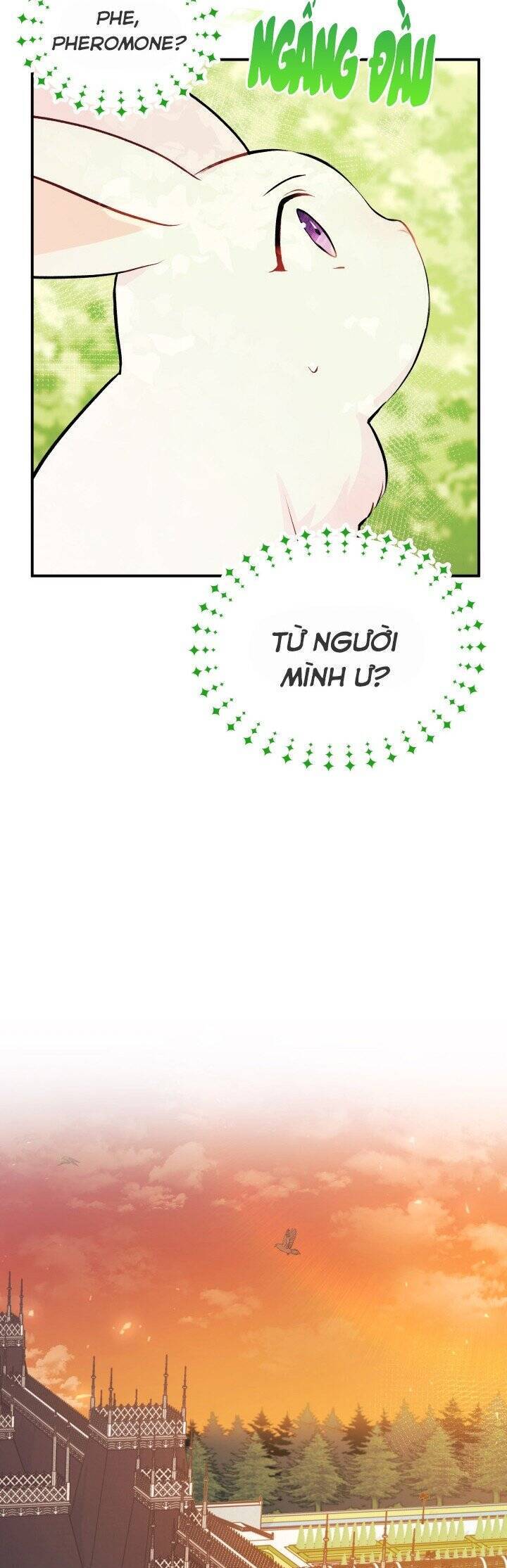 Mối Quan Hệ Cộng Sinh Giữa Báo Đen Và Thỏ Trắng - Chap 5 - Trang 26