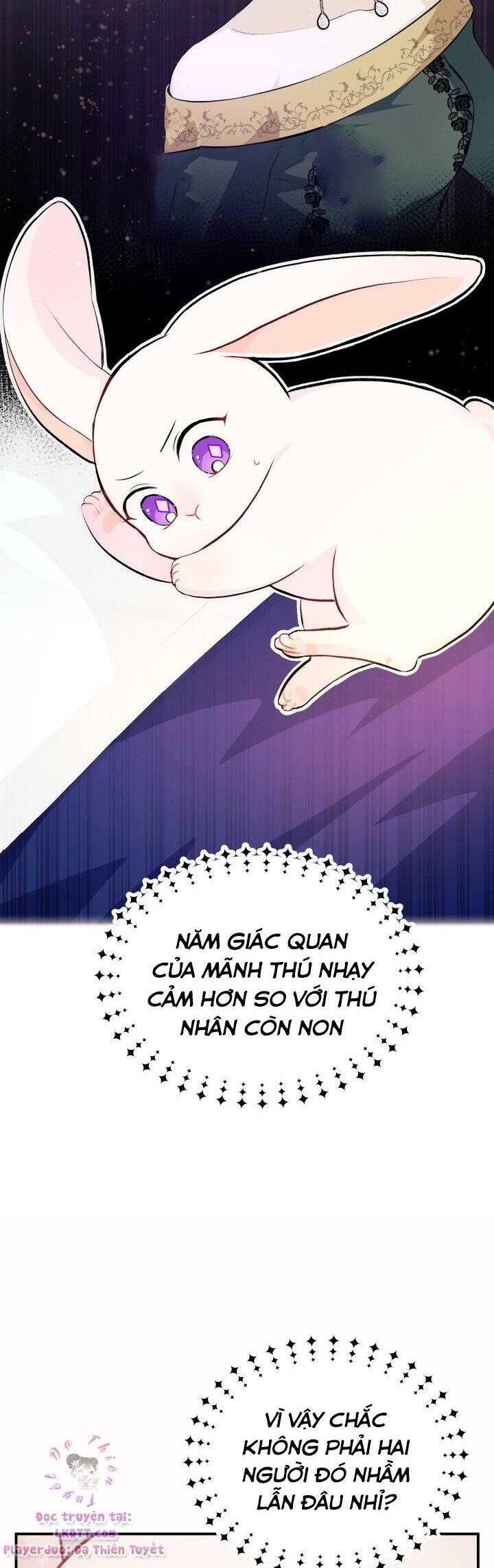 Mối Quan Hệ Cộng Sinh Giữa Báo Đen Và Thỏ Trắng - Chap 5 - Trang 29