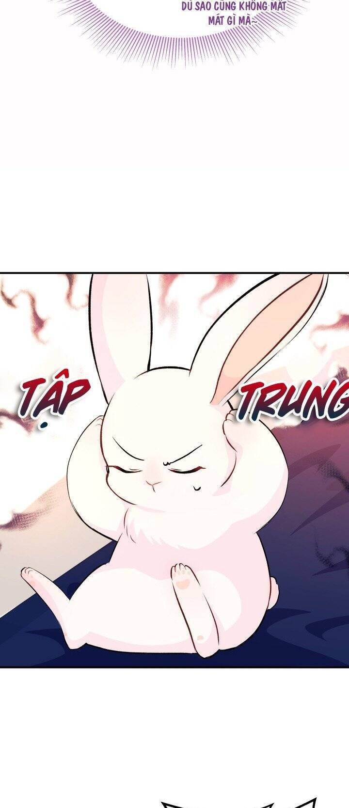 Mối Quan Hệ Cộng Sinh Giữa Báo Đen Và Thỏ Trắng - Chap 5 - Trang 34