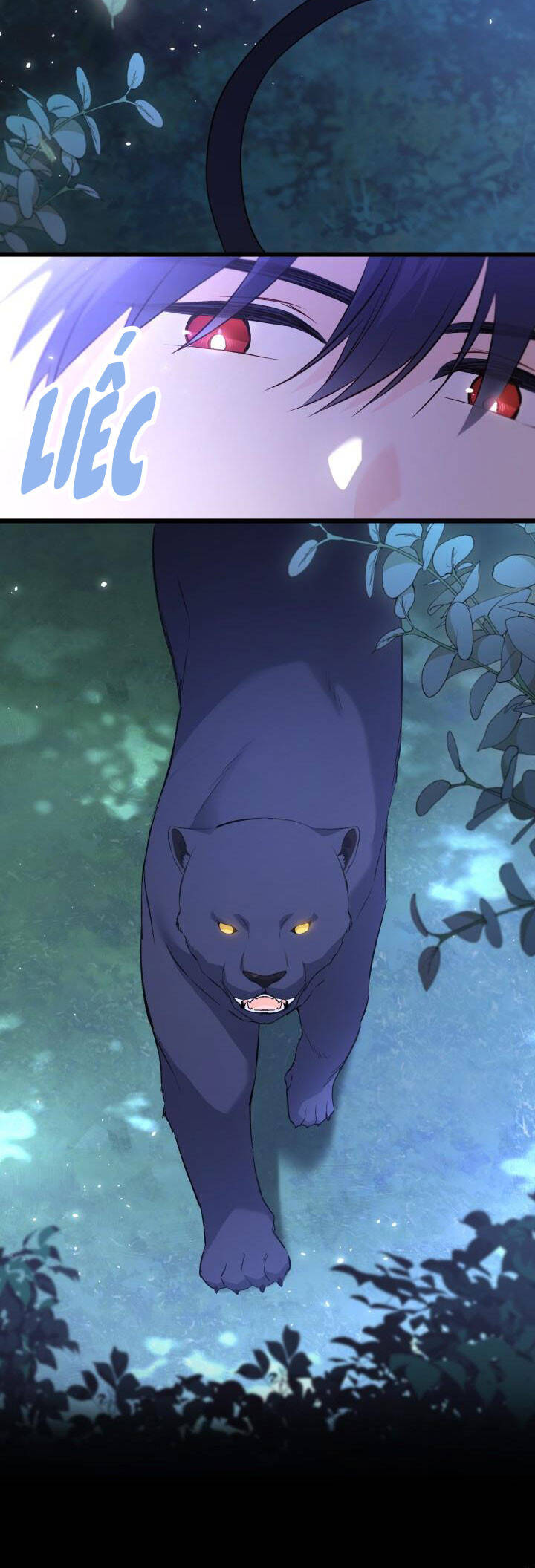 Mối Quan Hệ Cộng Sinh Giữa Báo Đen Và Thỏ Trắng - Chap 51 - Trang 11