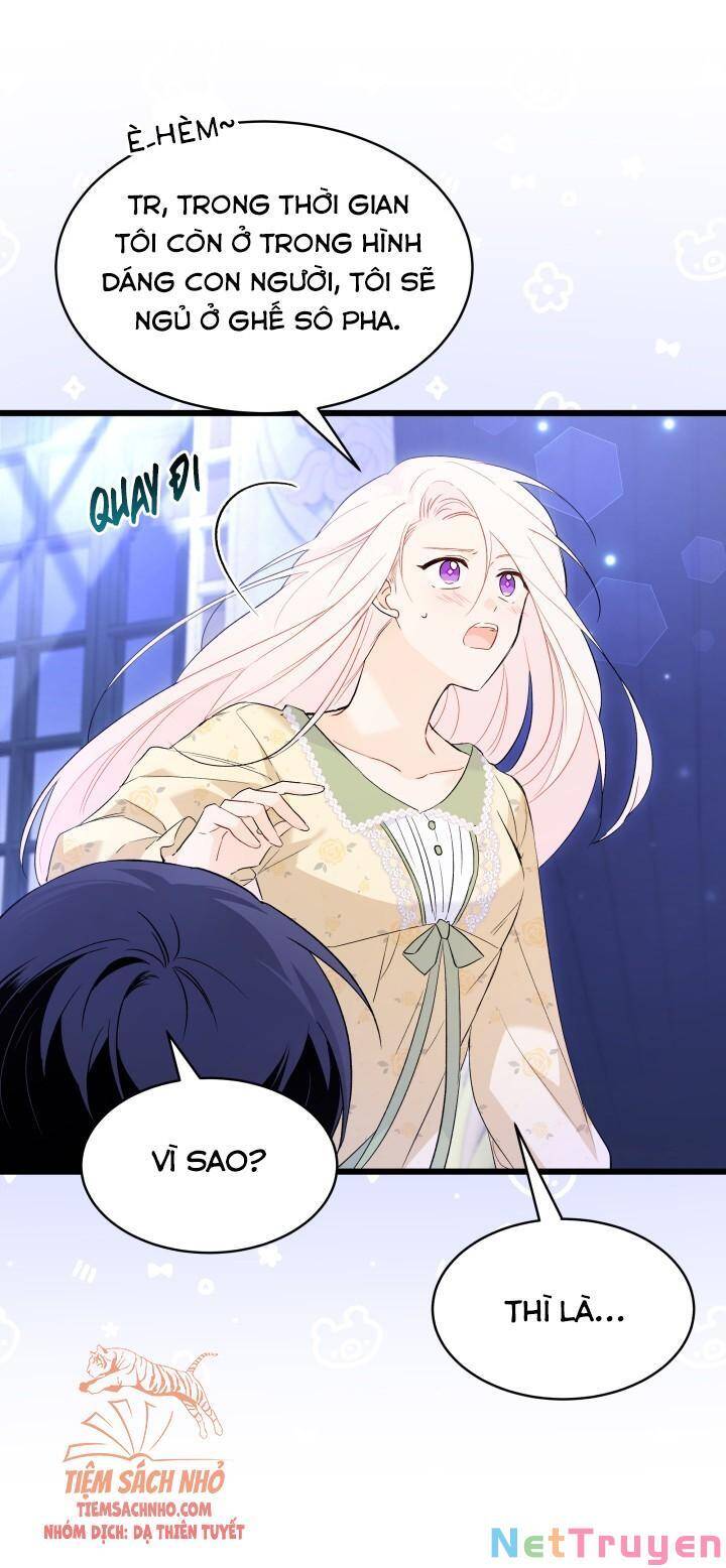 Mối Quan Hệ Cộng Sinh Giữa Báo Đen Và Thỏ Trắng - Chap 53 - Trang 33