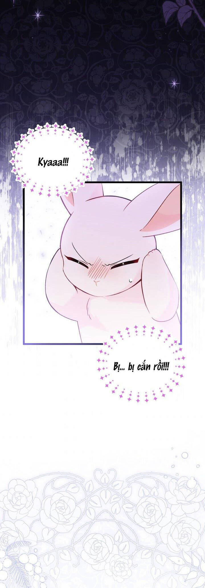 Mối Quan Hệ Cộng Sinh Giữa Báo Đen Và Thỏ Trắng - Chap 55 - Trang 17