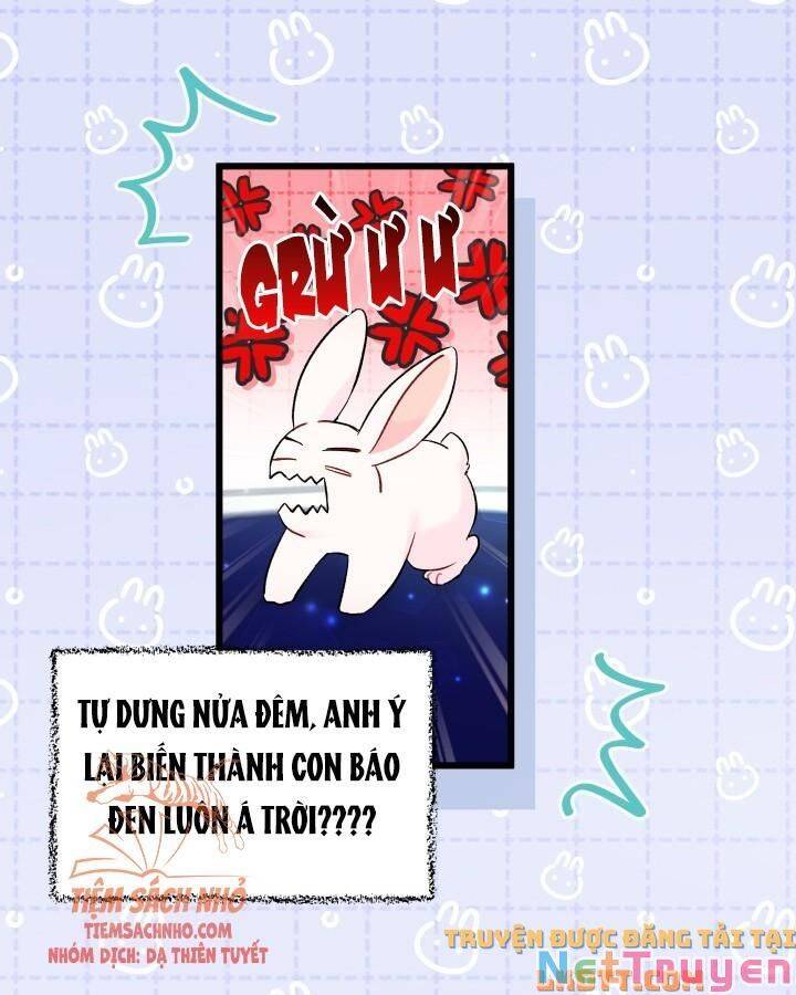 Mối Quan Hệ Cộng Sinh Giữa Báo Đen Và Thỏ Trắng - Chap 56 - Trang 25