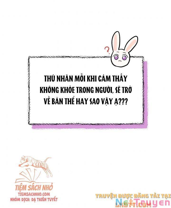 Mối Quan Hệ Cộng Sinh Giữa Báo Đen Và Thỏ Trắng - Chap 56 - Trang 27