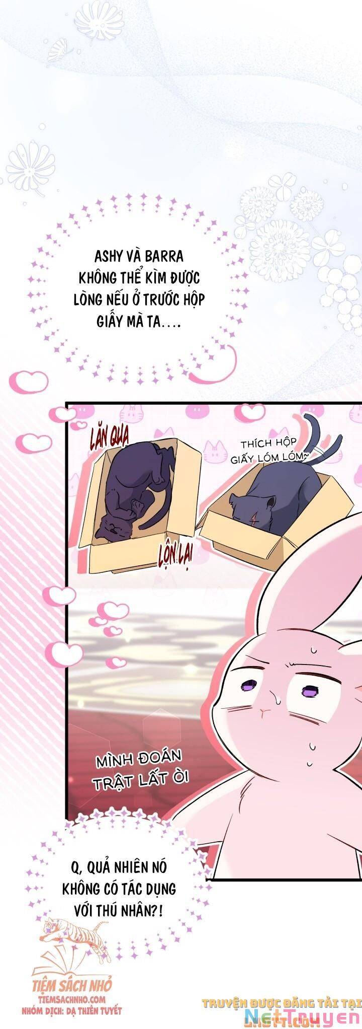 Mối Quan Hệ Cộng Sinh Giữa Báo Đen Và Thỏ Trắng - Chap 56 - Trang 36