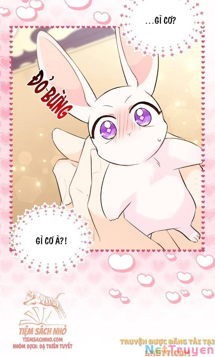 Mối Quan Hệ Cộng Sinh Giữa Báo Đen Và Thỏ Trắng - Chap 56 - Trang 73