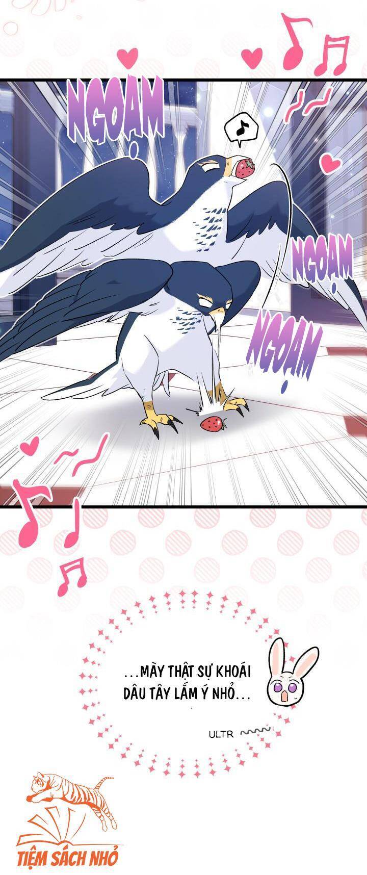 Mối Quan Hệ Cộng Sinh Giữa Báo Đen Và Thỏ Trắng - Chap 57 - Trang 11
