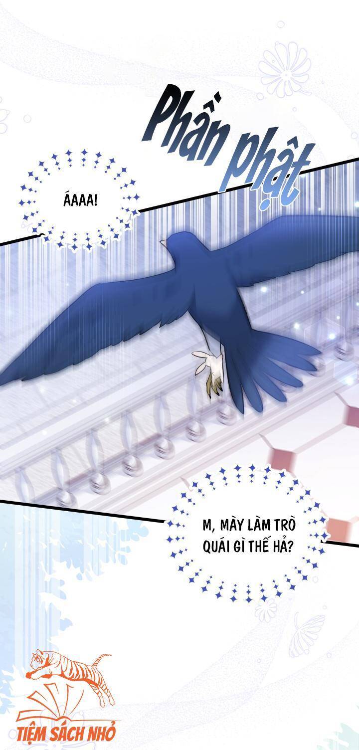 Mối Quan Hệ Cộng Sinh Giữa Báo Đen Và Thỏ Trắng - Chap 57 - Trang 21