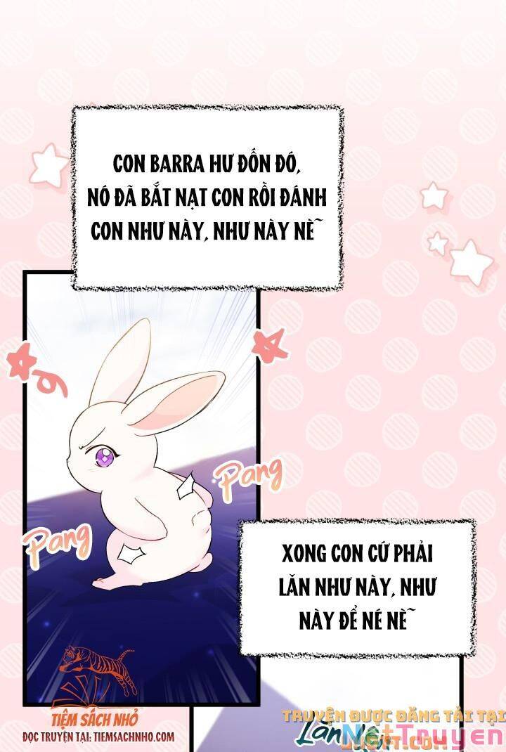 Mối Quan Hệ Cộng Sinh Giữa Báo Đen Và Thỏ Trắng - Chap 58 - Trang 14