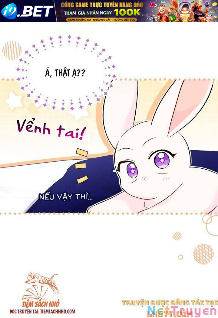Mối Quan Hệ Cộng Sinh Giữa Báo Đen Và Thỏ Trắng - Chap 58 - Trang 22