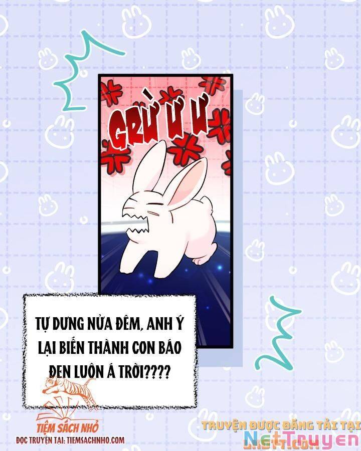 Mối Quan Hệ Cộng Sinh Giữa Báo Đen Và Thỏ Trắng - Chap 58 - Trang 25