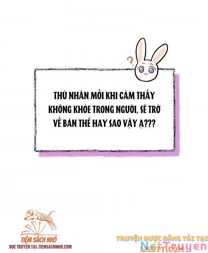 Mối Quan Hệ Cộng Sinh Giữa Báo Đen Và Thỏ Trắng - Chap 58 - Trang 27