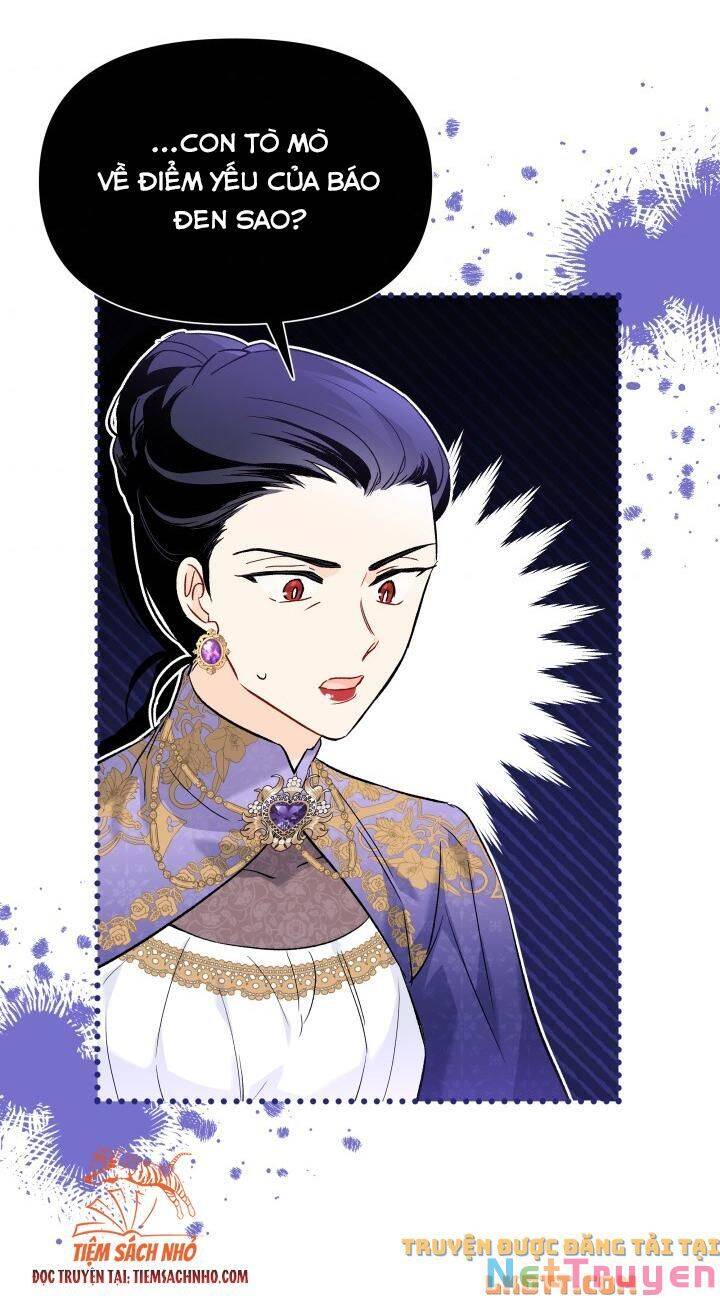 Mối Quan Hệ Cộng Sinh Giữa Báo Đen Và Thỏ Trắng - Chap 58 - Trang 28