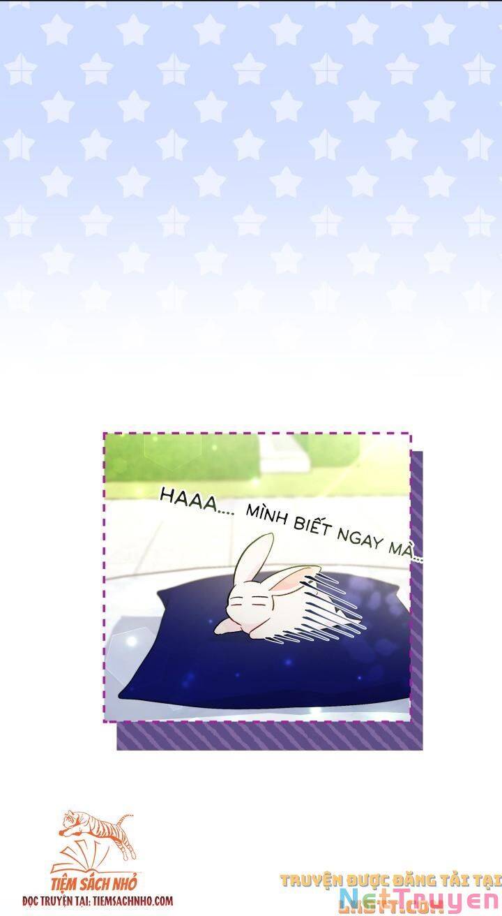 Mối Quan Hệ Cộng Sinh Giữa Báo Đen Và Thỏ Trắng - Chap 58 - Trang 32