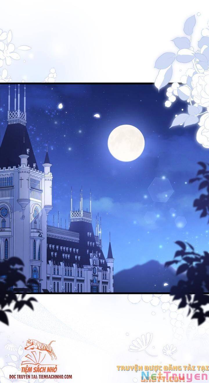 Mối Quan Hệ Cộng Sinh Giữa Báo Đen Và Thỏ Trắng - Chap 58 - Trang 33